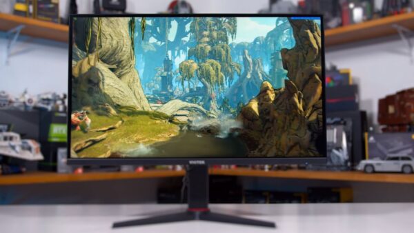 Best Monitor For RX 6600 XT