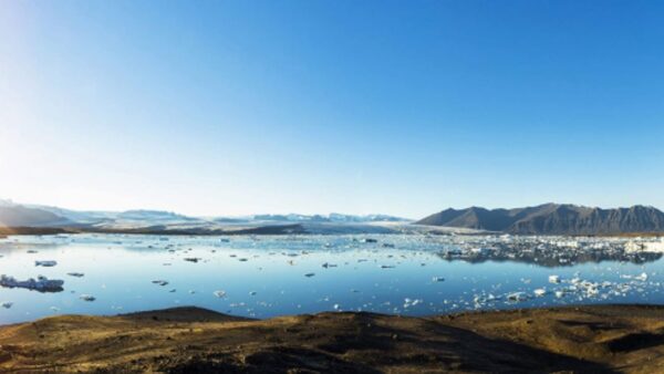 Best monitor for adobe illustrator